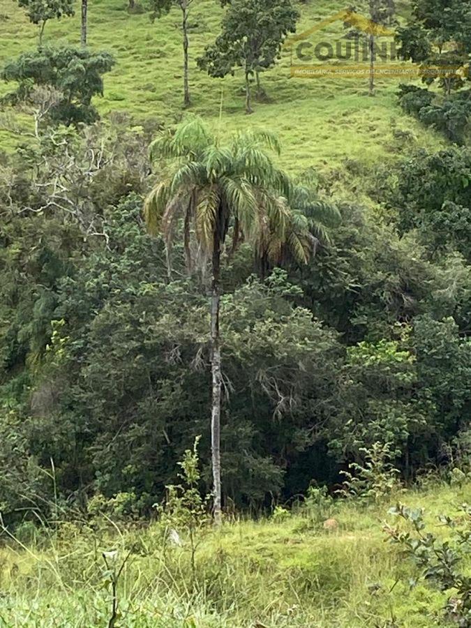 WhatsApp Image 2025-05-14 at 14.45.39 (1).jpeg